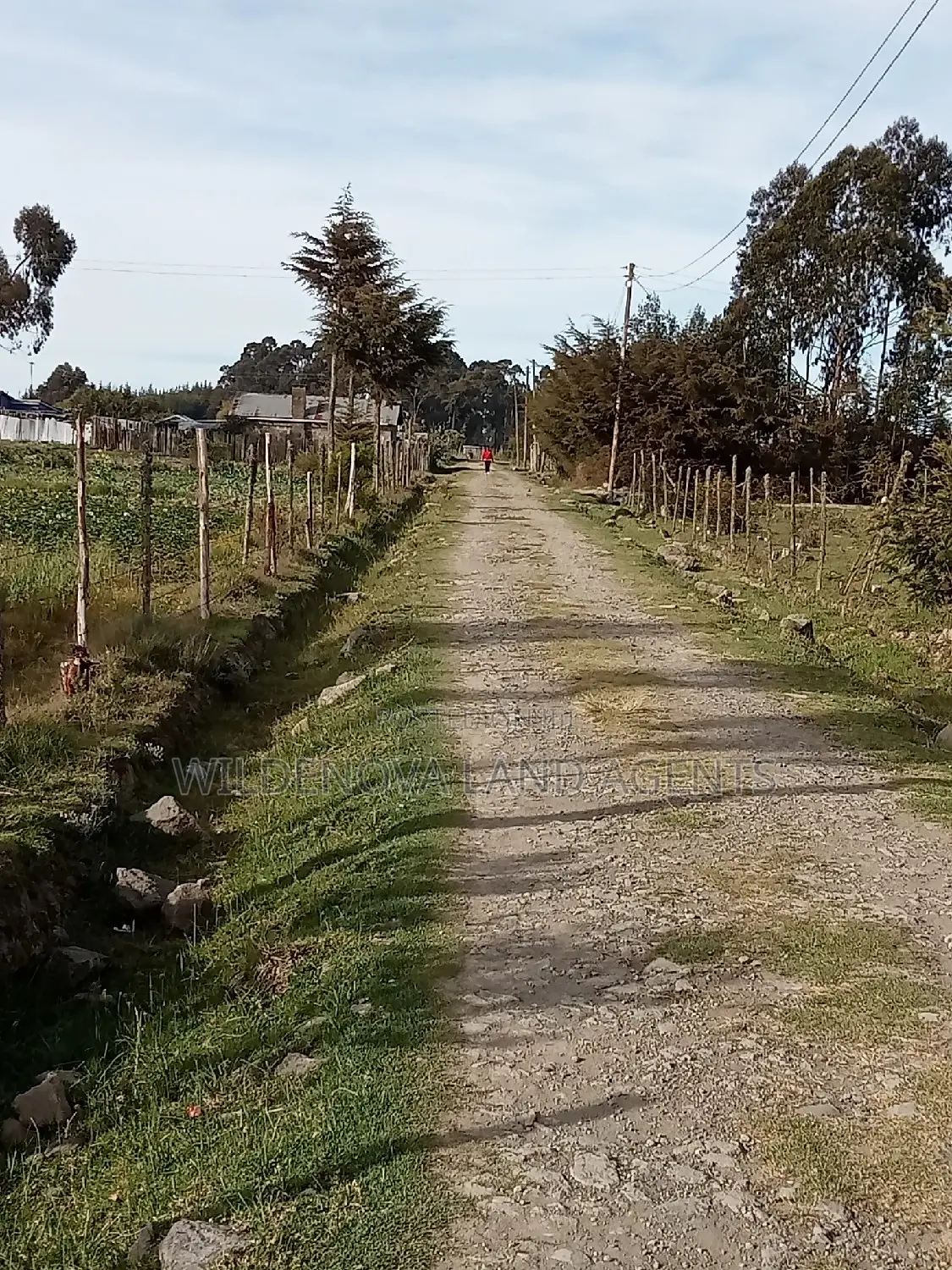 Dream Home Awaits: Kinangop Flyover Land Offer in Magumu