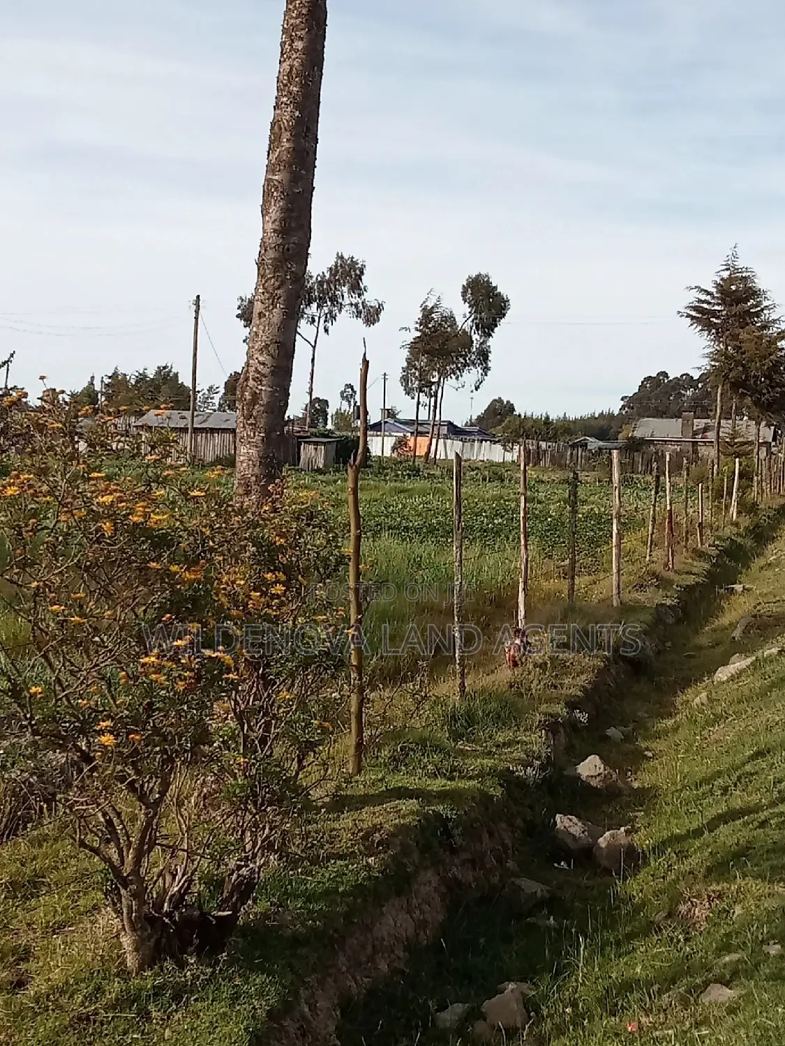Dream Home Awaits: Kinangop Flyover Land Offer in Magumu