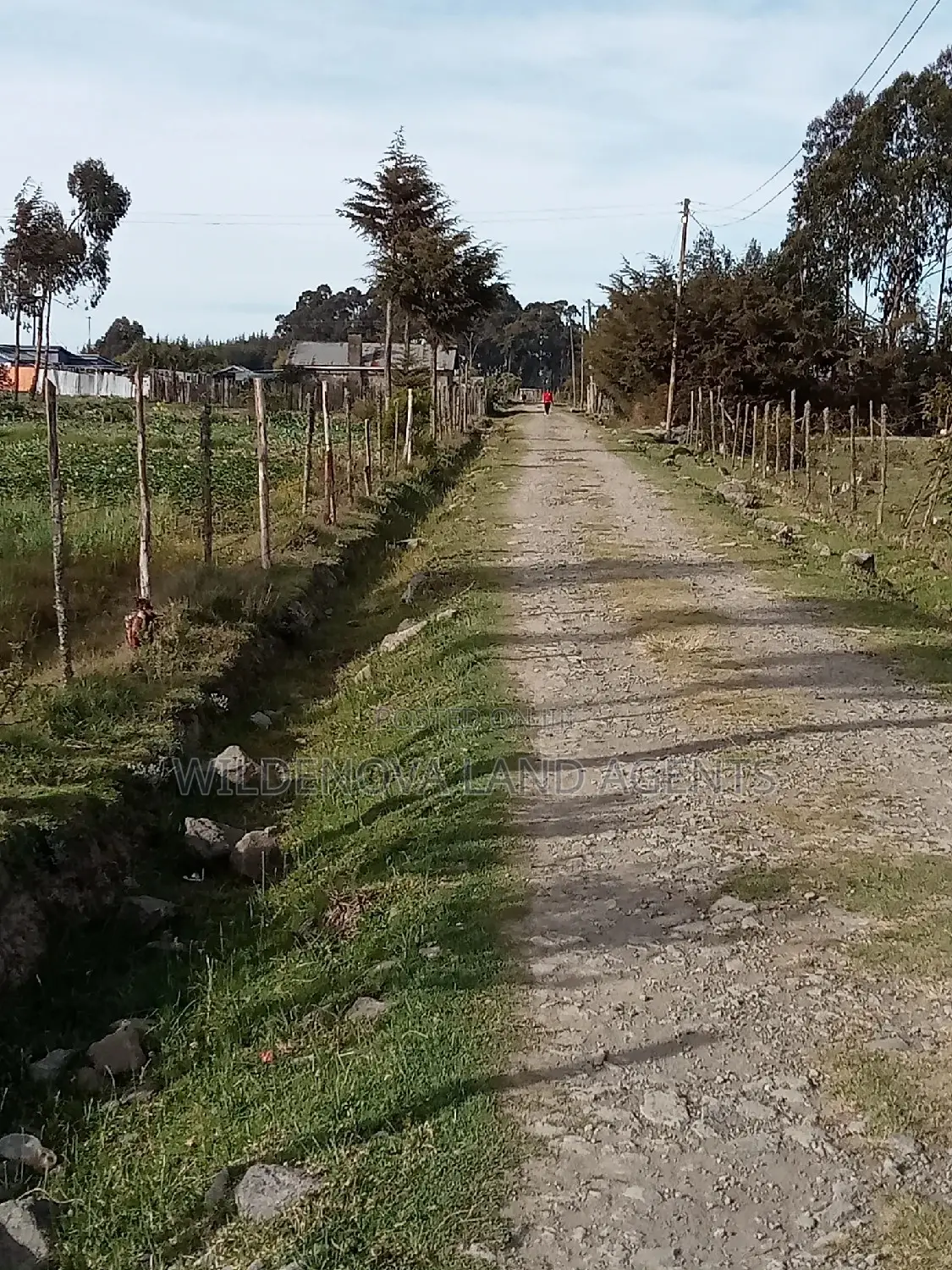 Dream Home Awaits: Kinangop Flyover Land Offer in Magumu