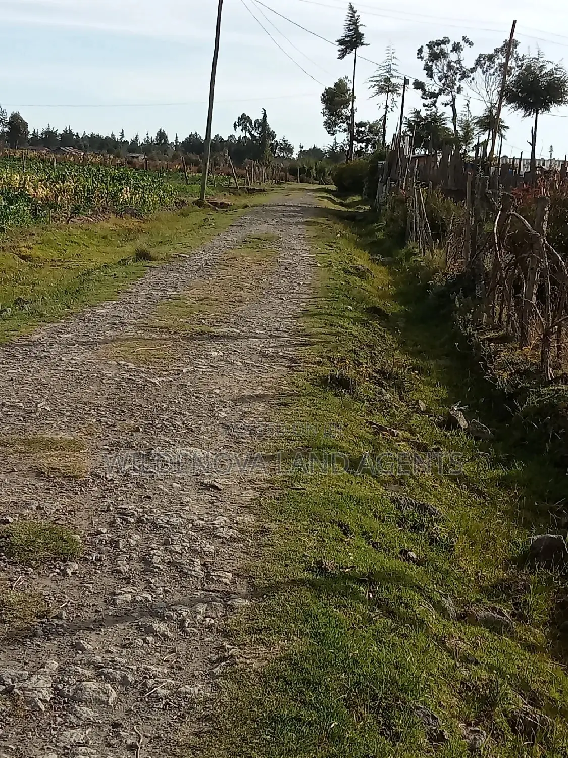 Dream Home Awaits: Kinangop Flyover Land Offer in Magumu
