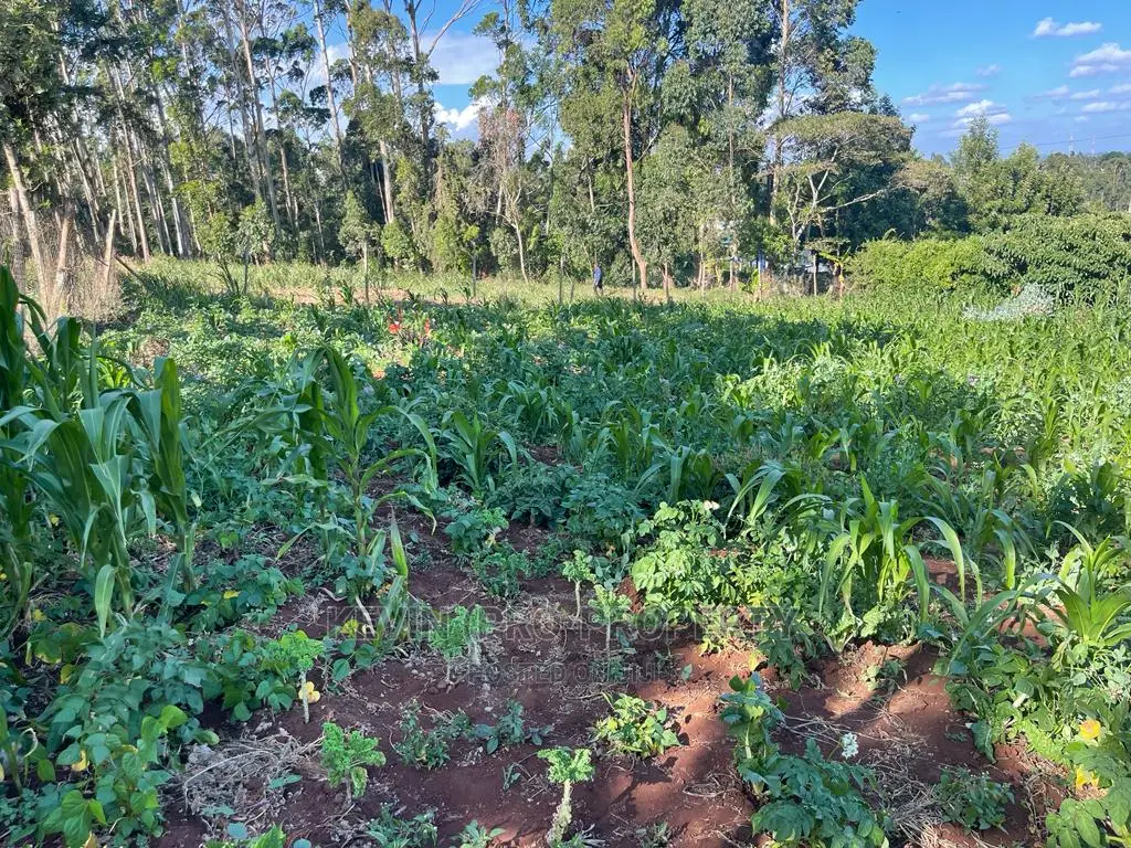 Commercial Land for Sale: Prime Location in Kikuyu, Sigona Along Waiyaki Way in Zambezi/Sigona