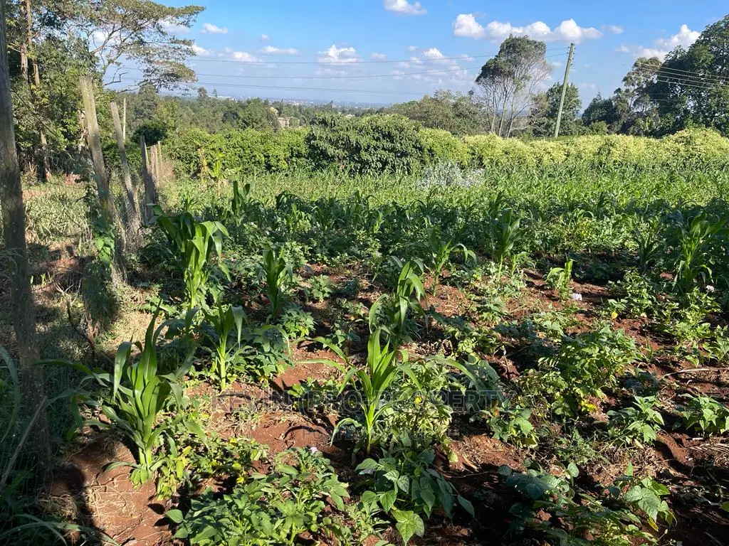 Commercial Land for Sale: Prime Location in Kikuyu, Sigona Along Waiyaki Way in Zambezi/Sigona