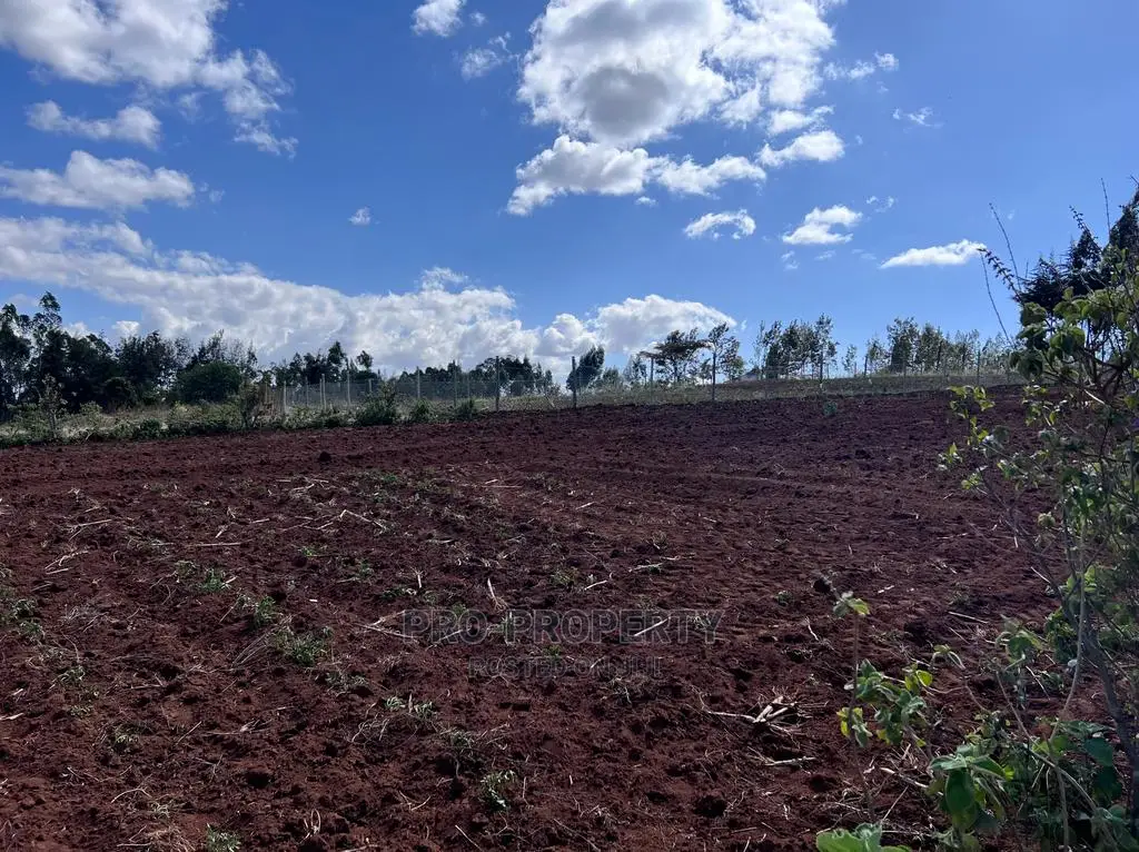 Premium 100fts Residential Plot in Kikuyu, Kamangu - Prime Location! in Karai