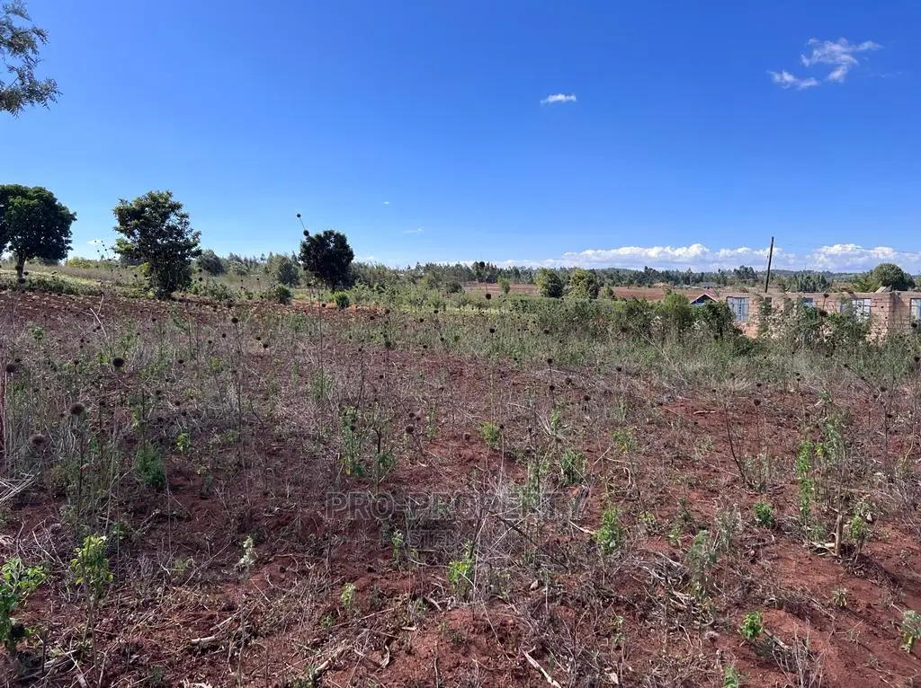 Premium 100fts Residential Plot in Kikuyu, Kamangu - Prime Location! in Karai