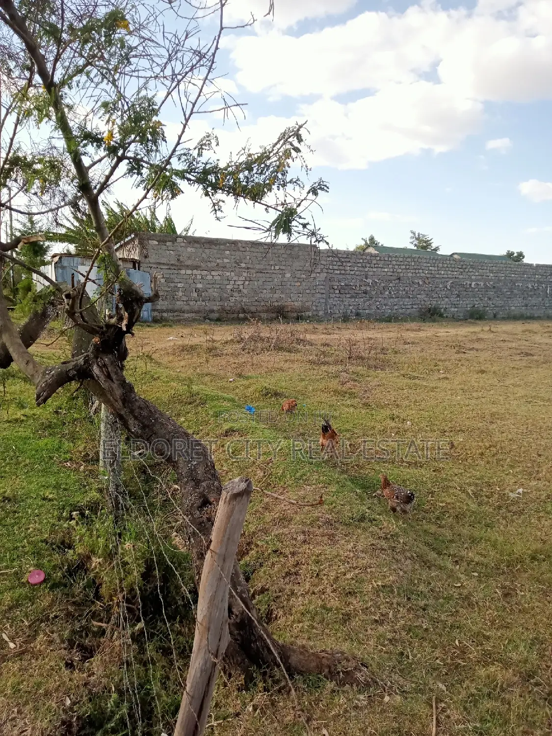 Spacious 1/4 Plot in Kimumu for Sale with Clear Title in Eldoret CBD