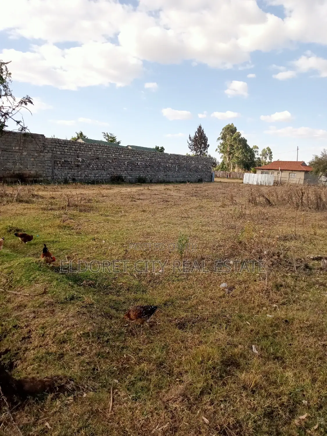 Spacious 1/4 Plot in Kimumu for Sale with Clear Title in Eldoret CBD