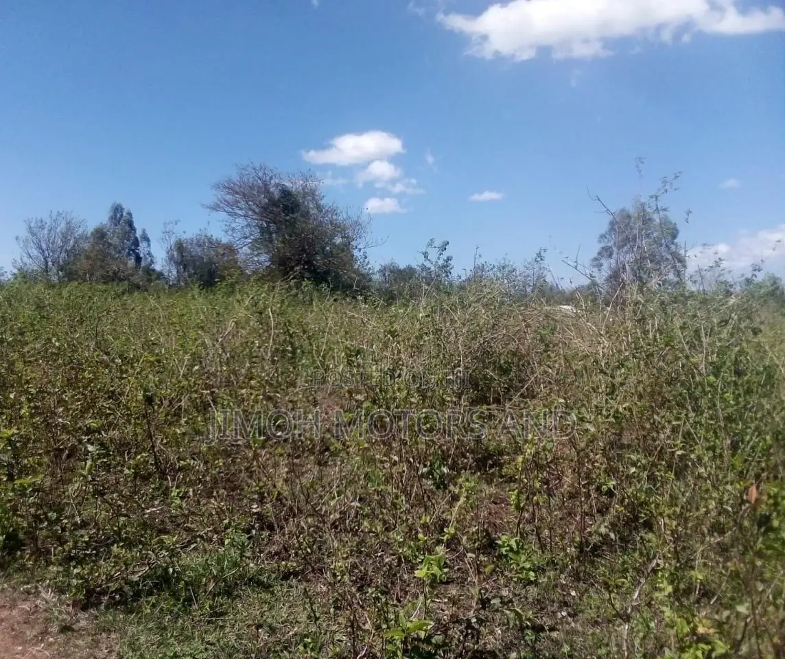 Busia Land: Your Dream Property is Just a Click Away! in Nambale Township