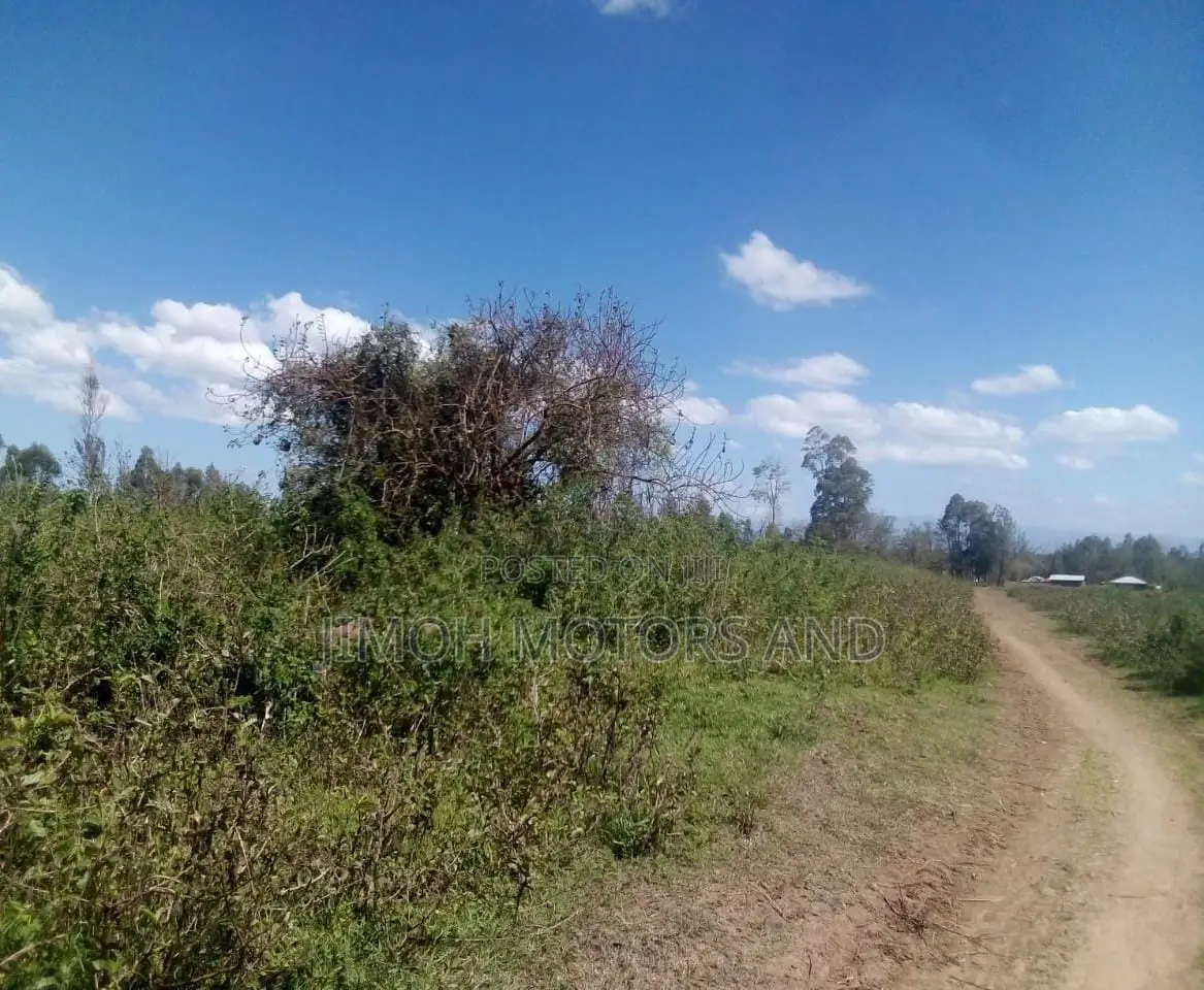 Busia Land: Your Dream Property is Just a Click Away! in Nambale Township