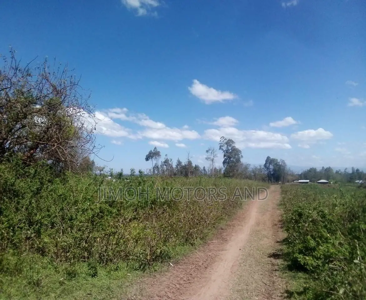 Busia Land: Your Dream Property is Just a Click Away! in Nambale Township