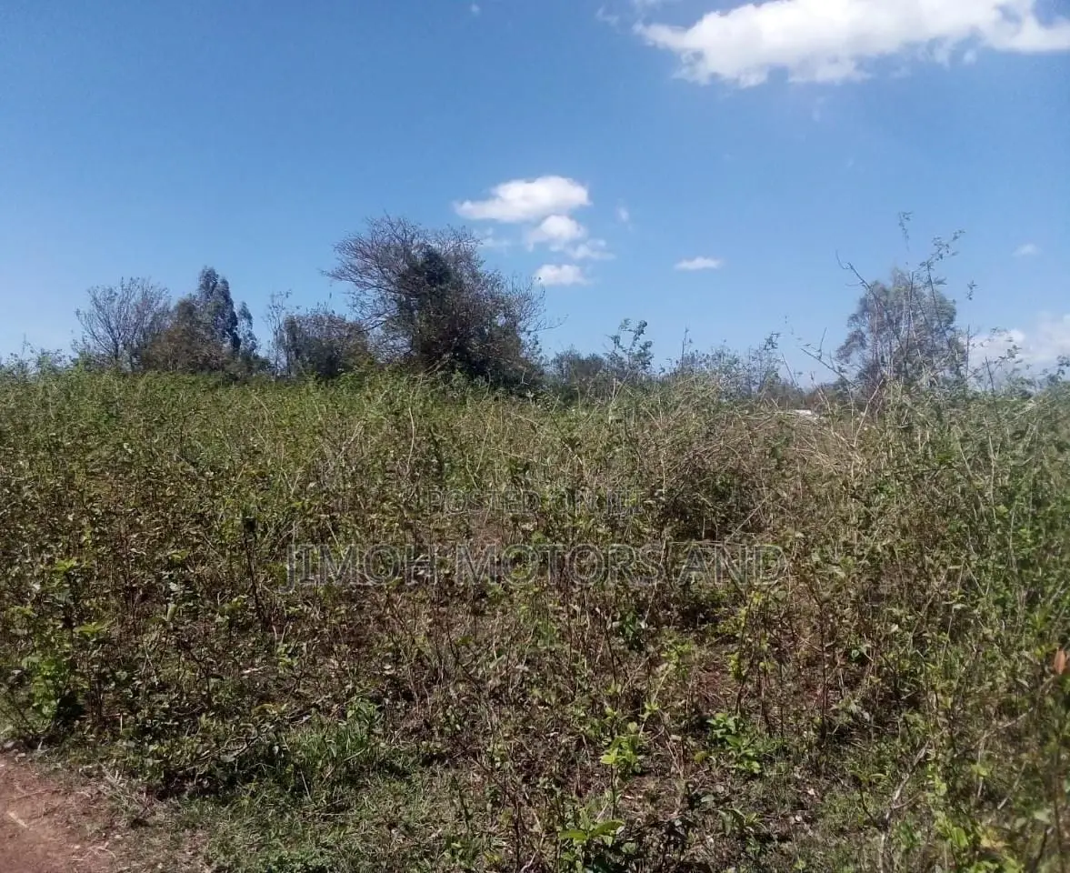Busia Land: Your Dream Property is Just a Click Away! in Nambale Township