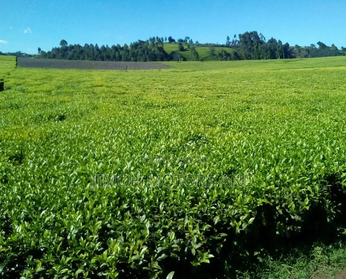 Land Sale in Limuru: Find Your Ideal Location for Your New Property! in Limuru