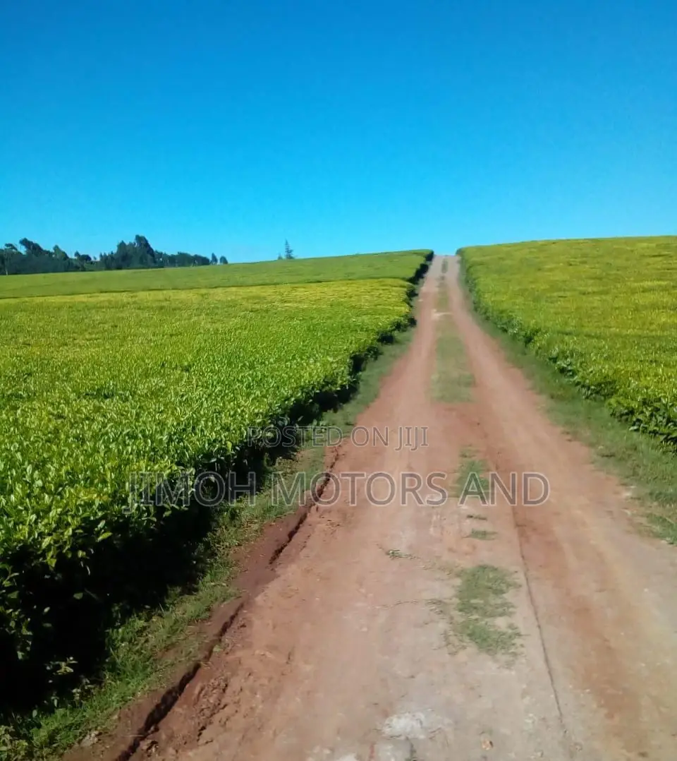 Land Sale in Limuru: Find Your Ideal Location for Your New Property! in Limuru