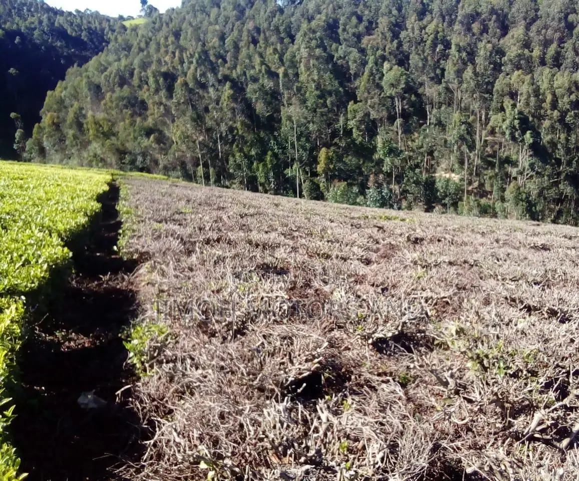 Land Sale in Limuru: Find Your Ideal Location for Your New Property! in Limuru