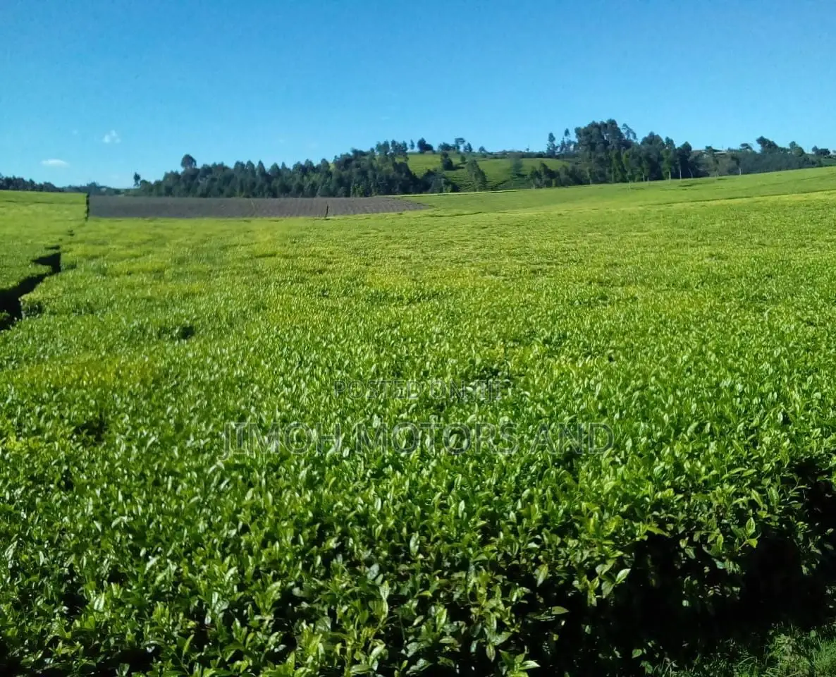 Land Sale in Limuru: Find Your Ideal Location for Your New Property! in Limuru