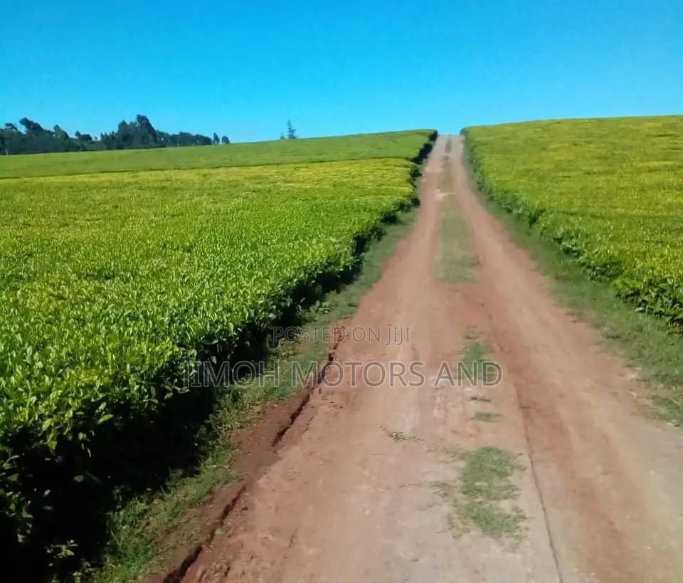 Land Sale in Limuru: Find Your Ideal Location for Your New Property! in Limuru