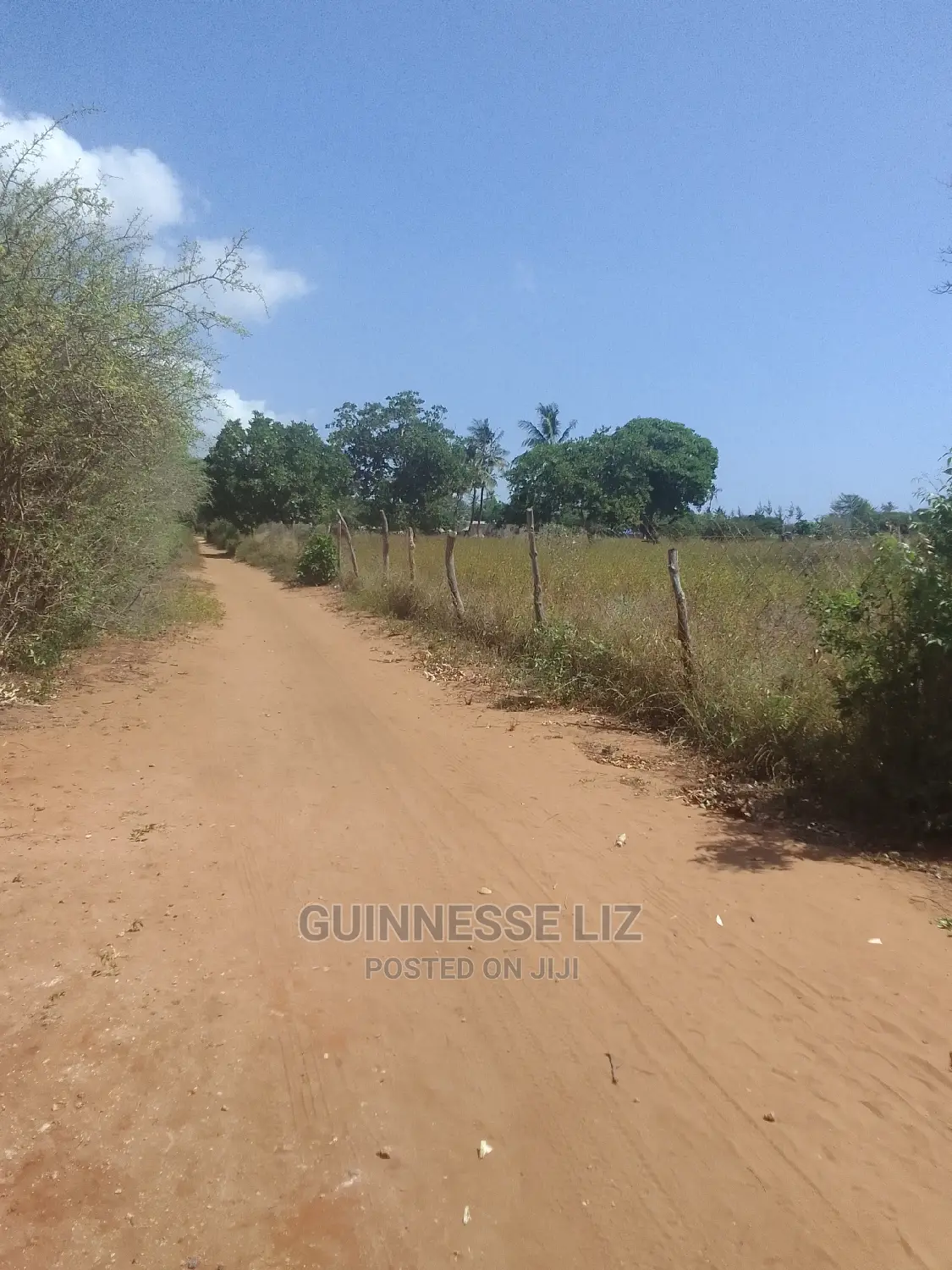 Kilifi Mtondia Land - Perfect for Your Next Development Project in Kilifi North