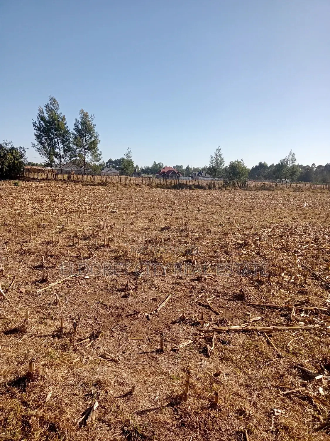 Ilula's 1/8 Plots: Dream Homes Await! Ideal for New Residential Development! in Eldoret CBD