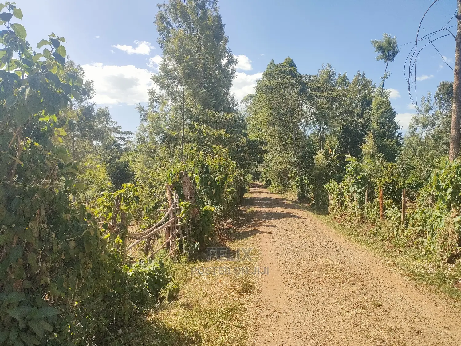 Karatina/Kianjogu 1 Acre in Karatina Town