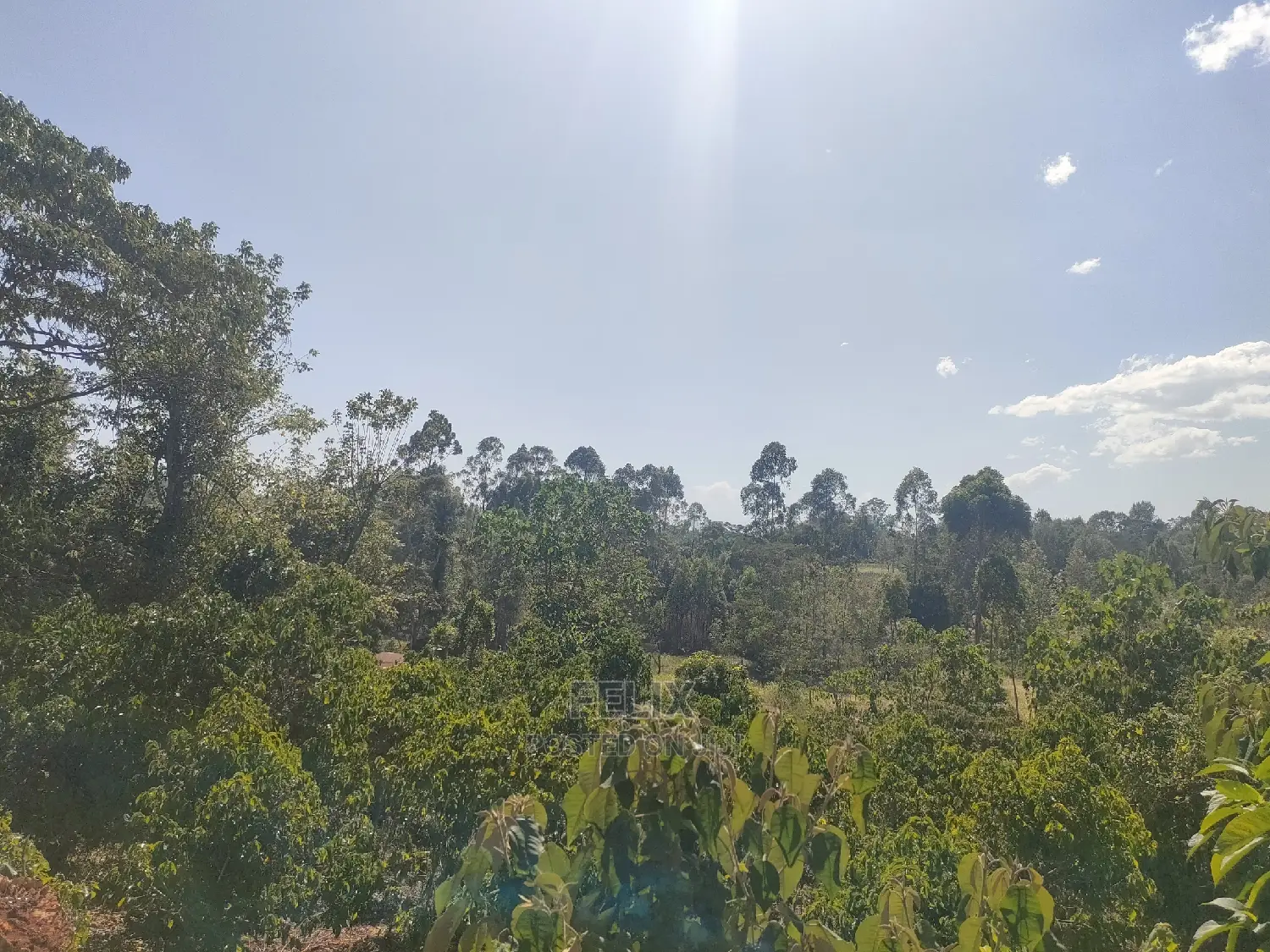 Karatina/Kianjogu 1 Acre in Karatina Town
