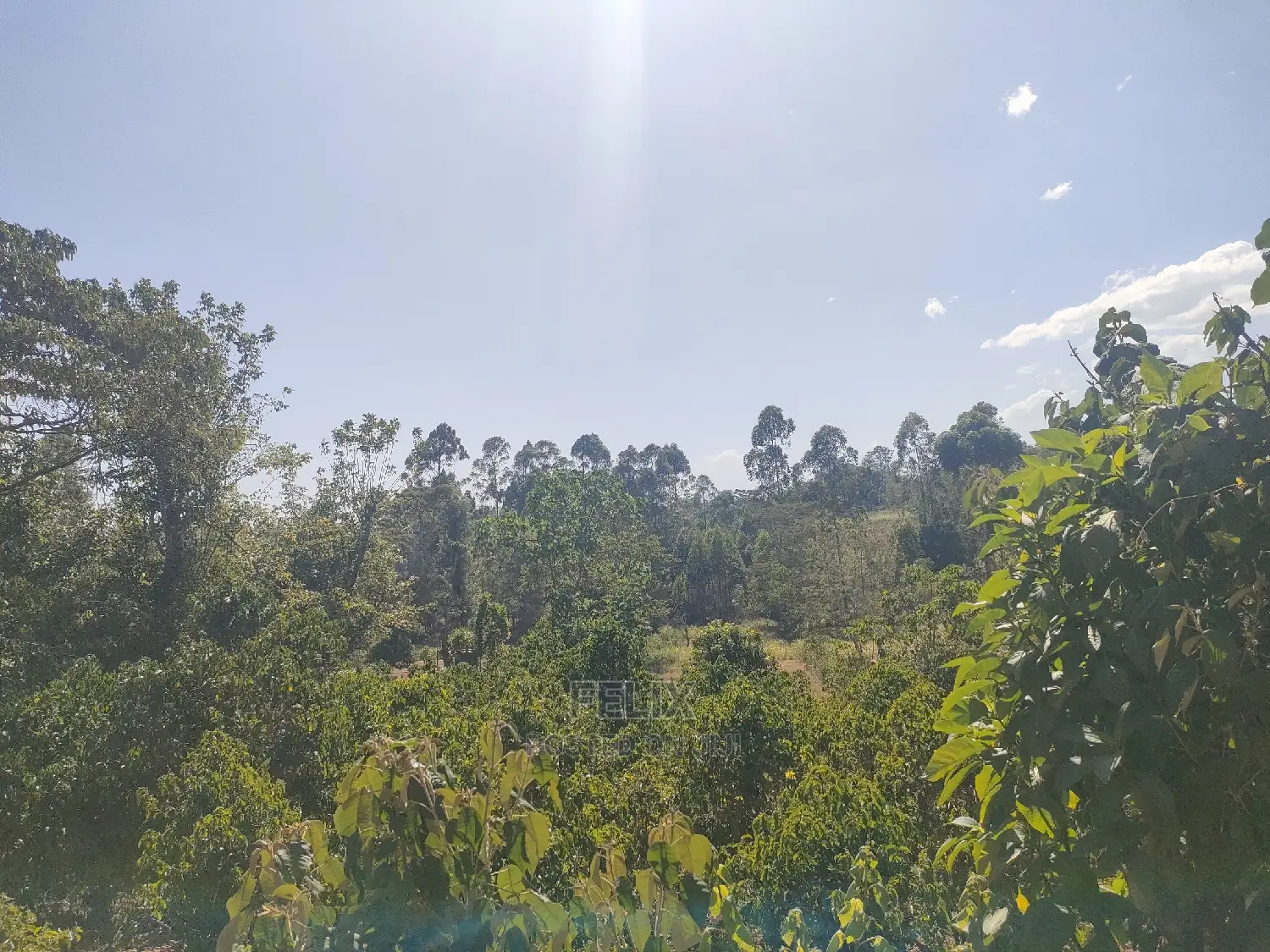 Karatina/Kianjogu 1 Acre in Karatina Town