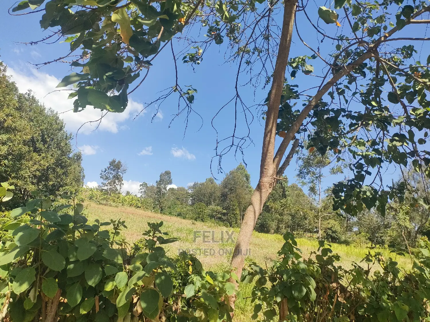 Karatina/Kianjogu 1 Acre in Karatina Town
