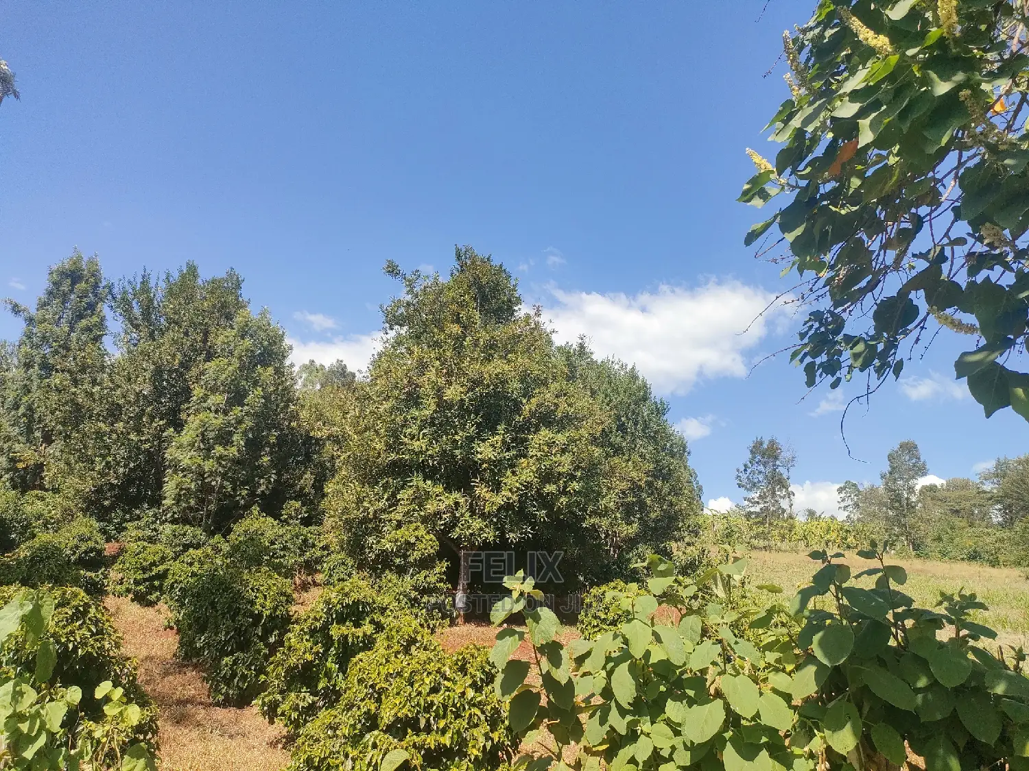 Karatina/Kianjogu 1 Acre in Karatina Town
