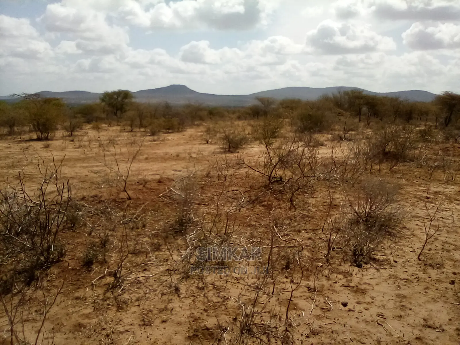 130 Acres Land in Ngatataek, Namanga Rd - For Sale in Namanga