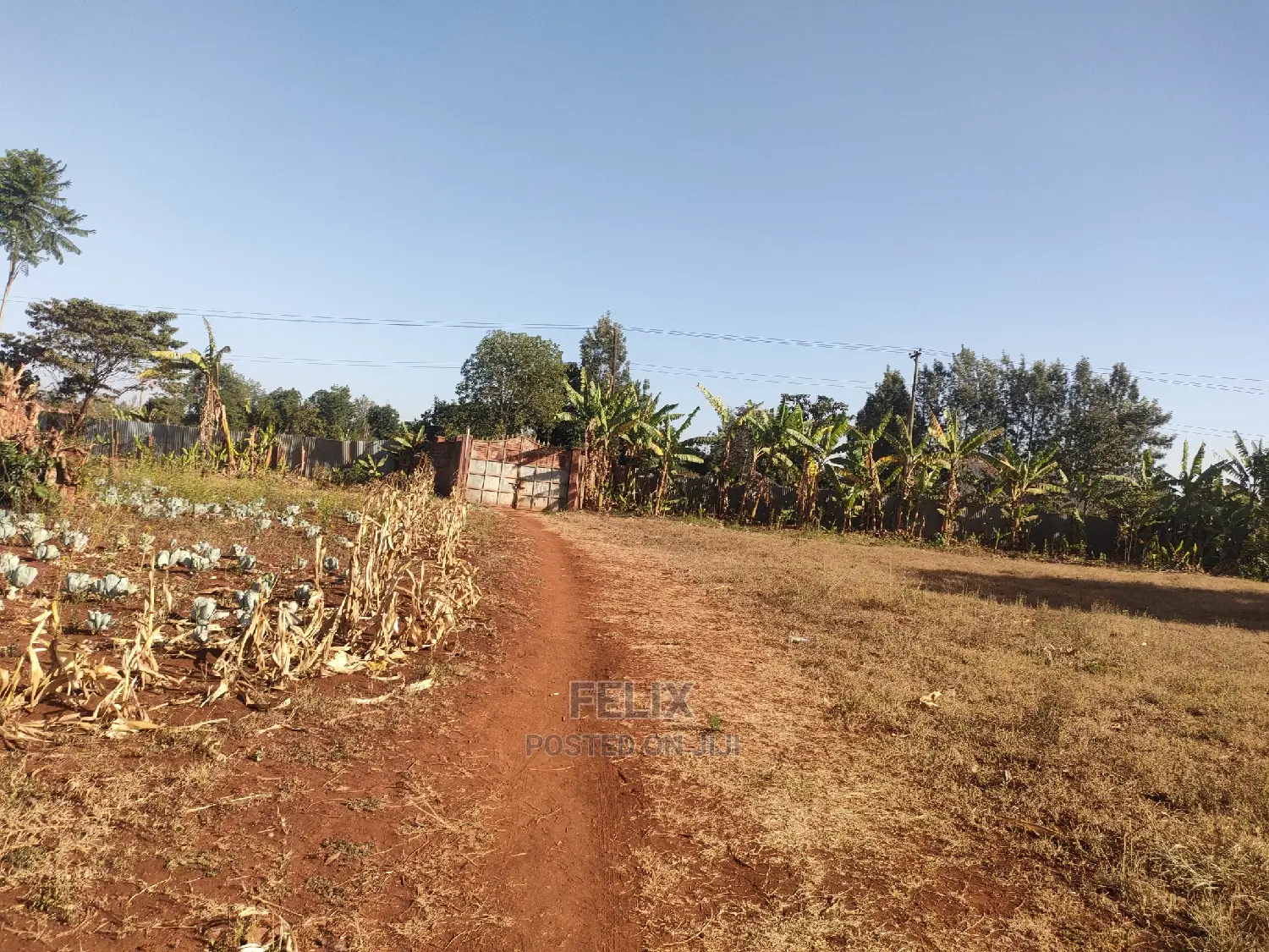 Nyeri / Gatitu 17 Acres in Gatitu