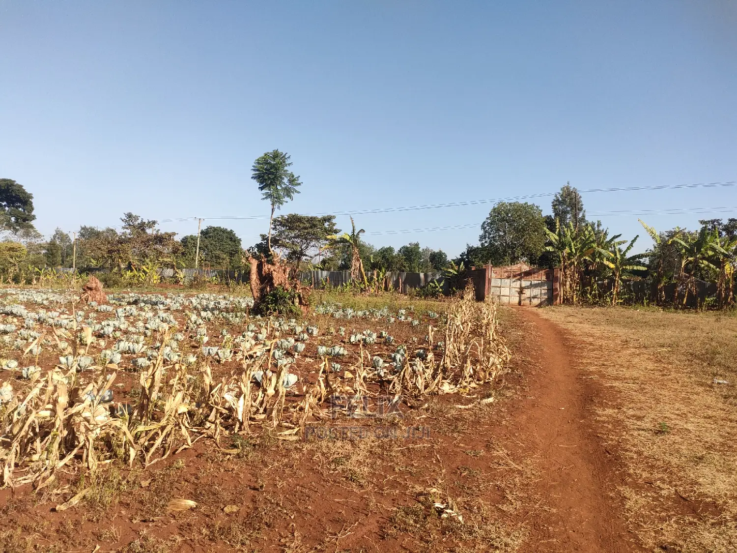 Nyeri / Gatitu 17 Acres in Gatitu
