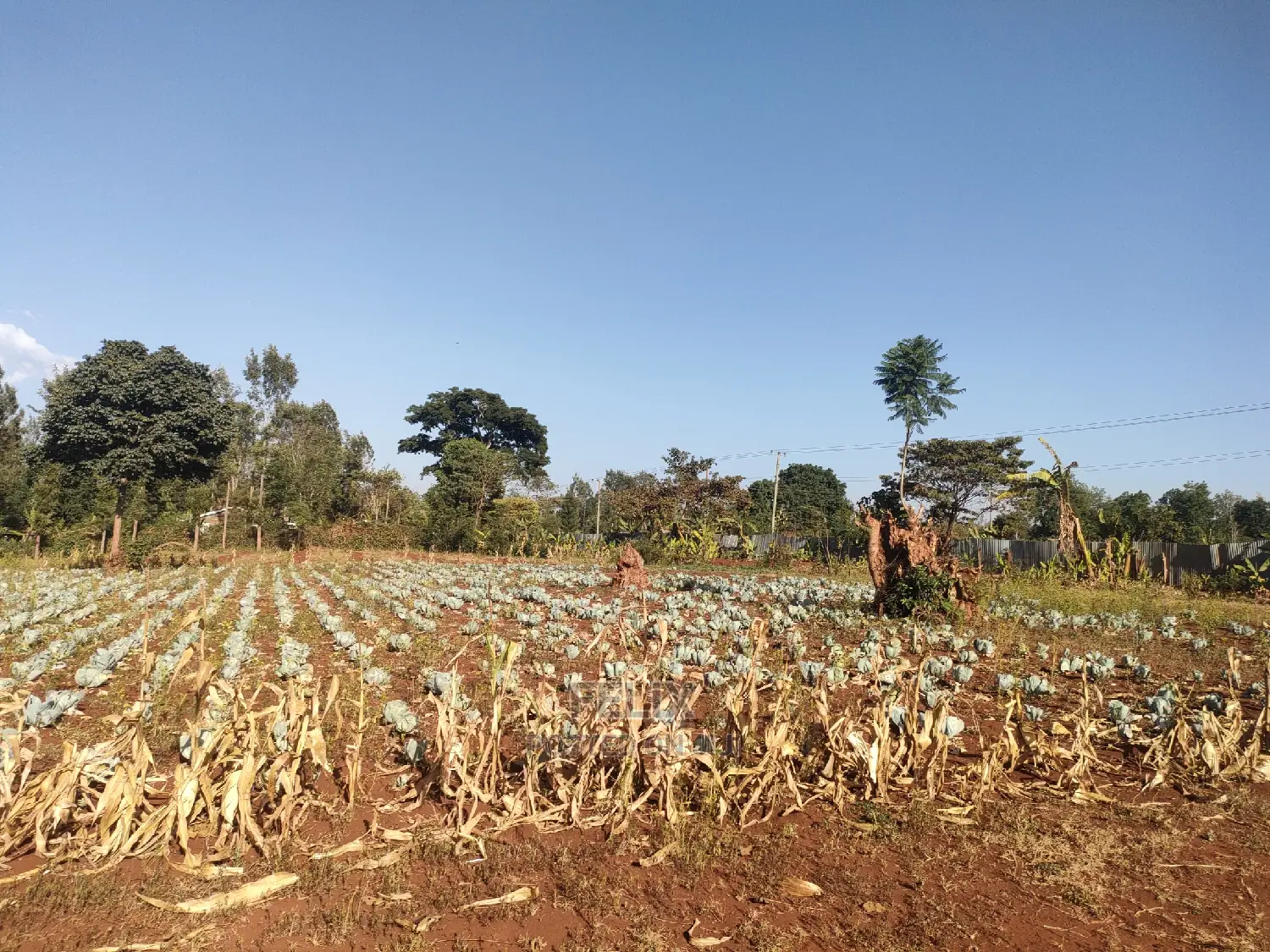 Nyeri / Gatitu 17 Acres in Gatitu