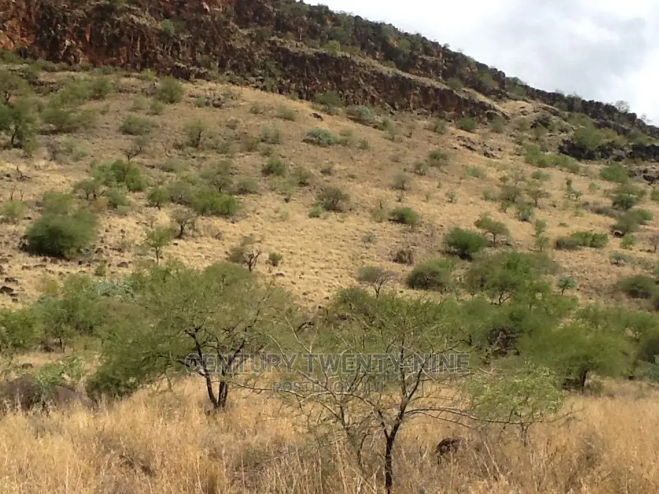 Kwenia Eco-Lodge Site in Ewaso Kendong