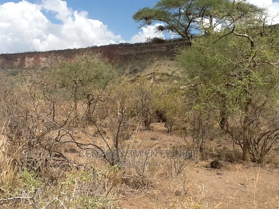 Kwenia Eco-Lodge Site in Ewaso Kendong
