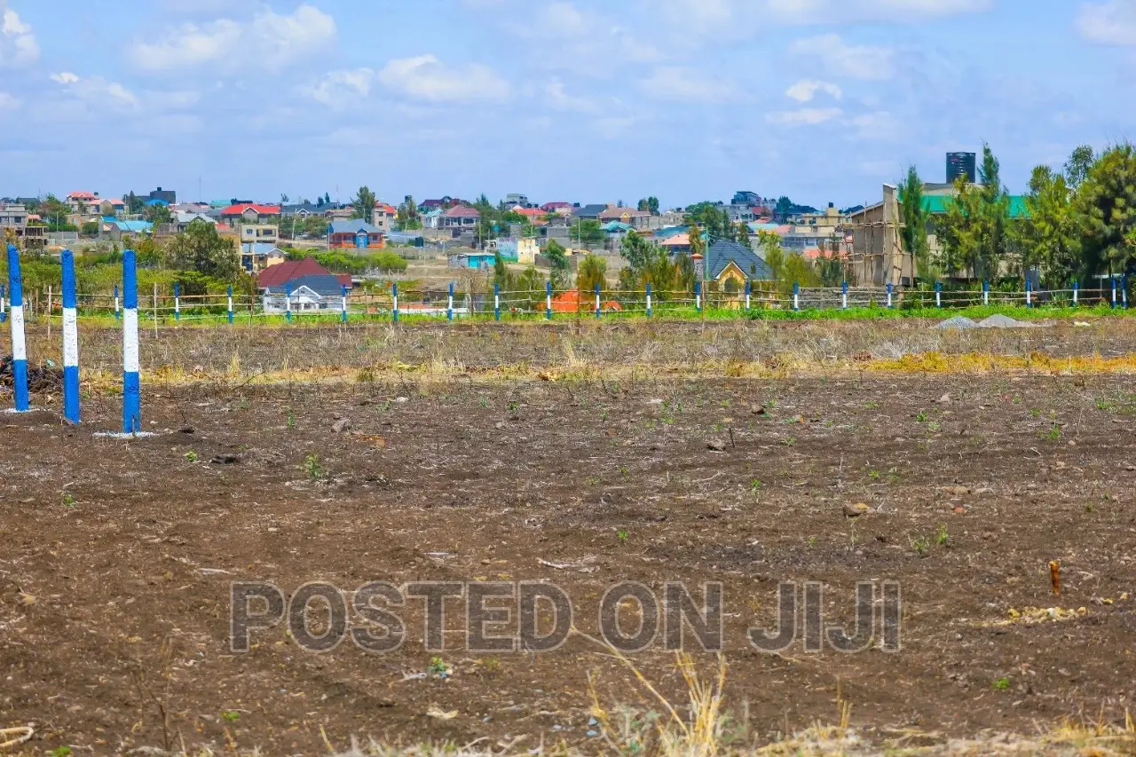 Strategic Prime Plots in Kamulu^Jm in Joska
