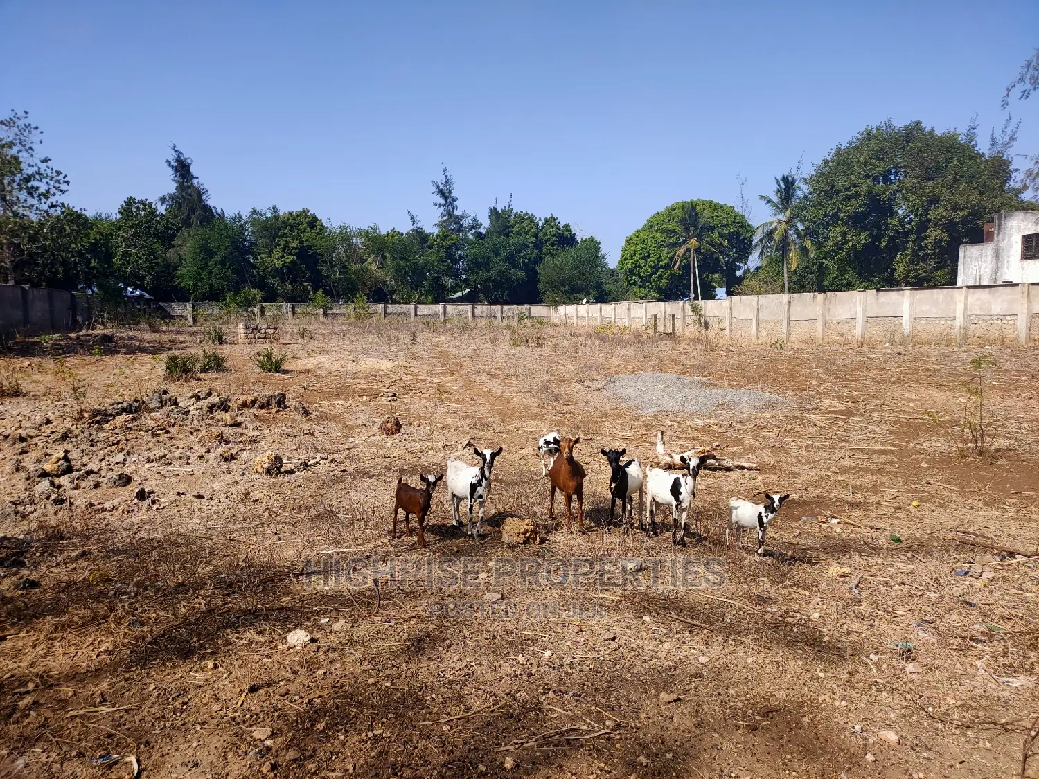 1 Acre for Sale Along Sun Sand Road Kikambala in Mtwapa