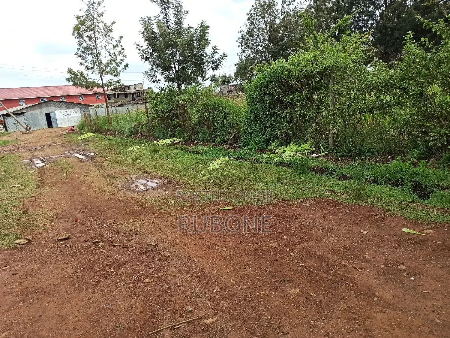 Prime Kabiria Land: 0.5 Acre Plot - Seize the Opportunity in Kabiria