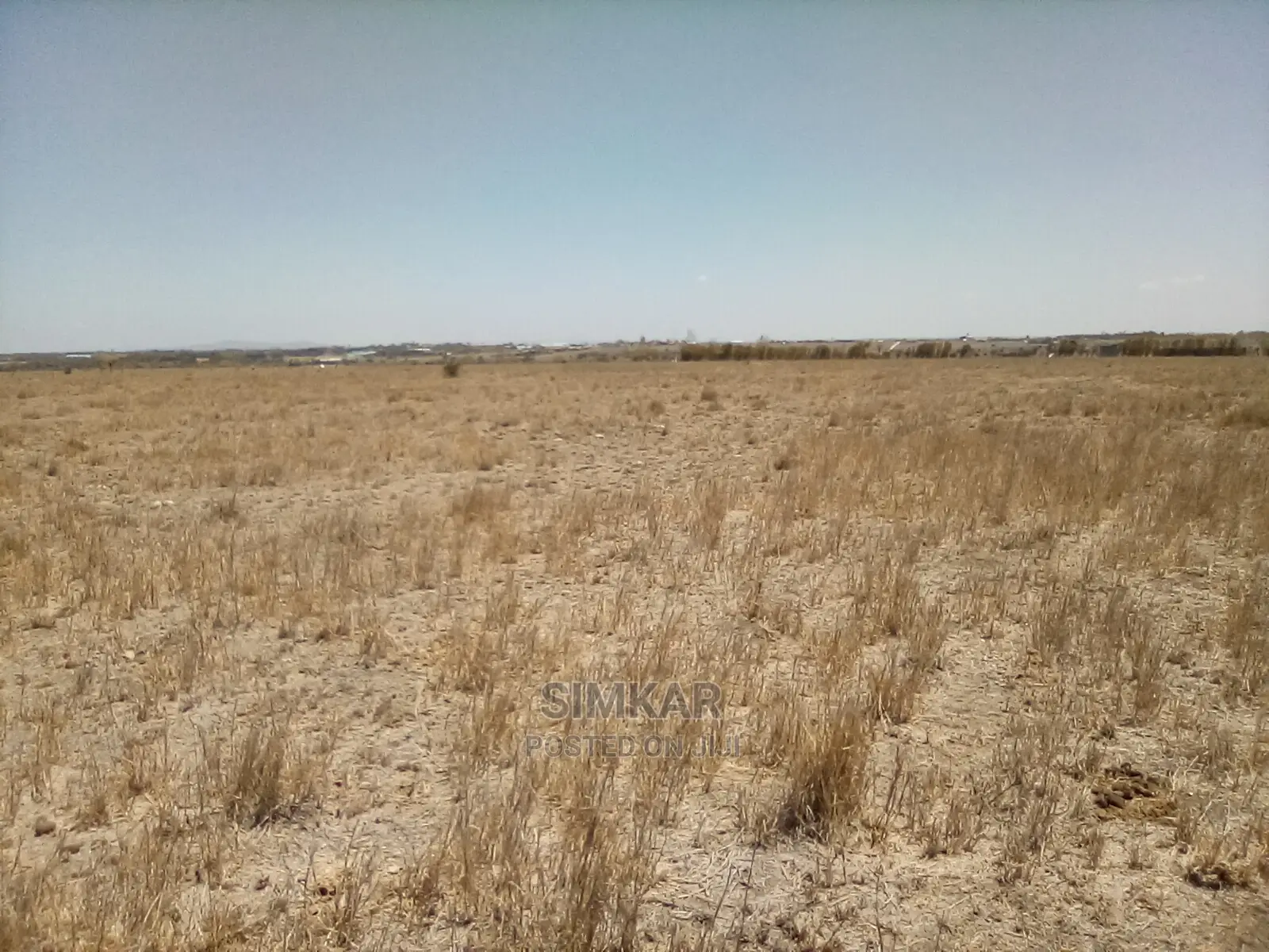 Kisaju Land: 5 Acres Up for Grabs - Perfect for Agriculture or Real Estate Investment in Kisaju
