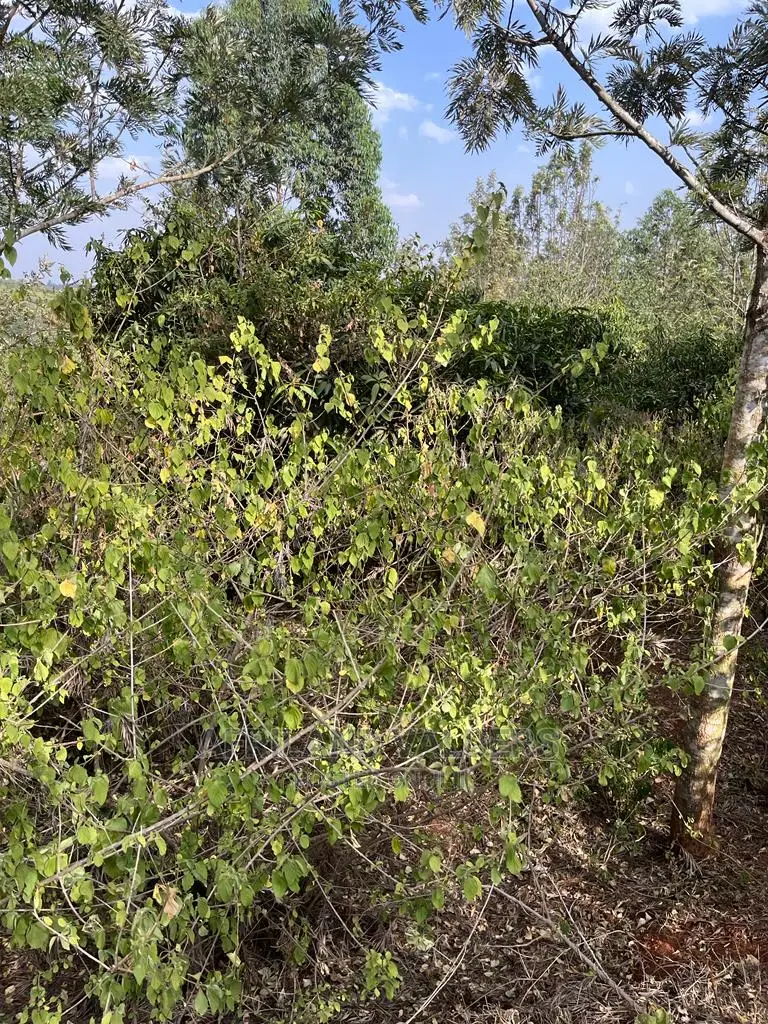 1 Acre Plot Available in Kerarapon Ngong - Perfect for Your Next Project! in Kerarapon