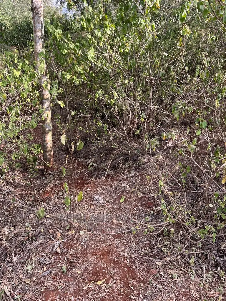 1 Acre Plot Available in Kerarapon Ngong - Perfect for Your Next Project! in Kerarapon