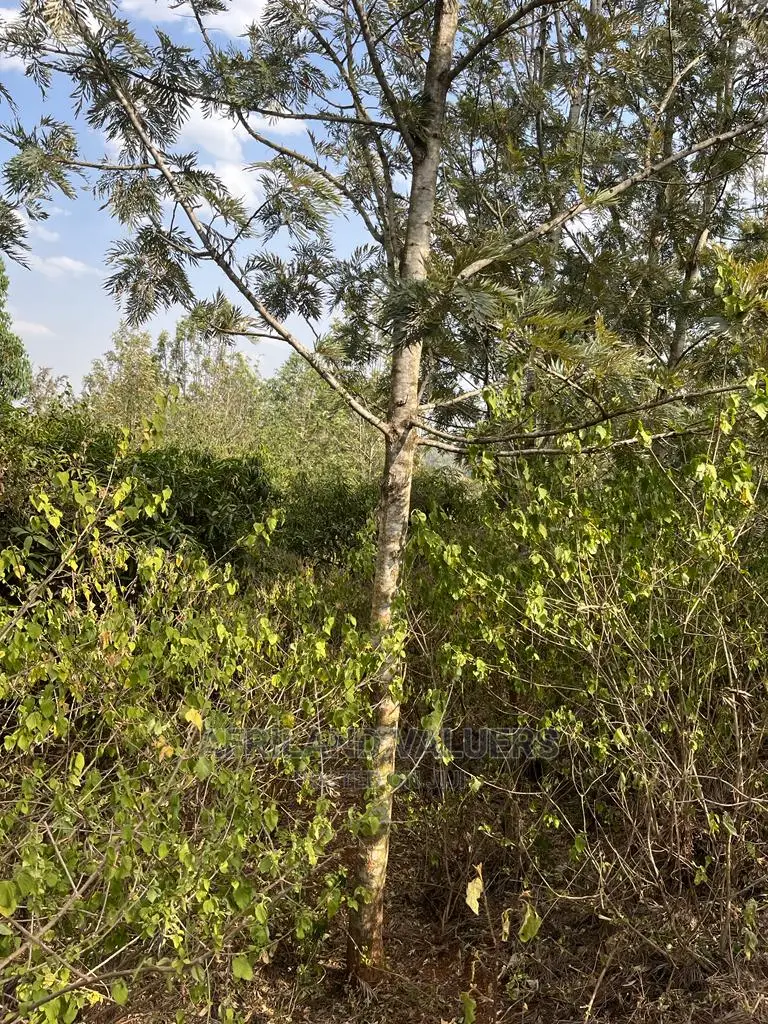 1 Acre Plot Available in Kerarapon Ngong - Perfect for Your Next Project! in Kerarapon
