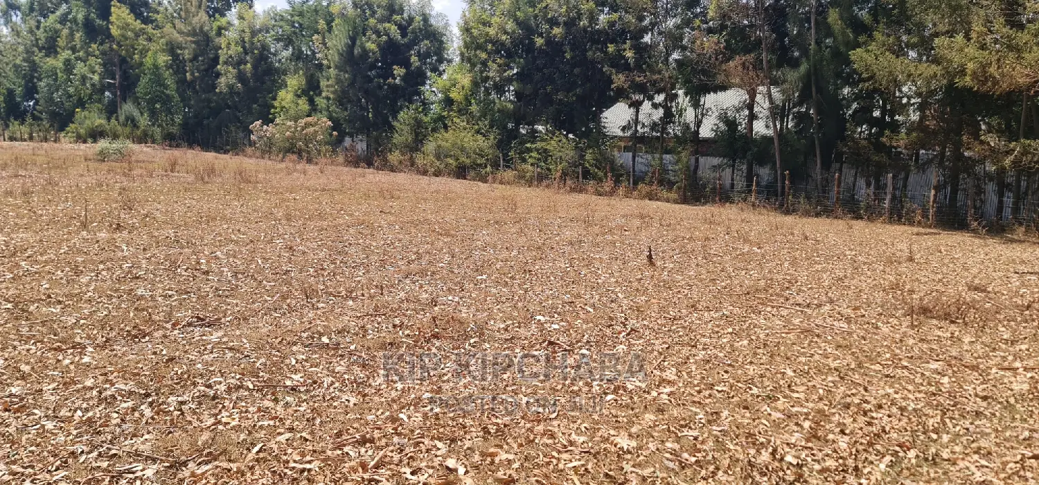 Cheap 1⁄4 Plot for Sale in Annex Royalton in Eldoret in Racecourse