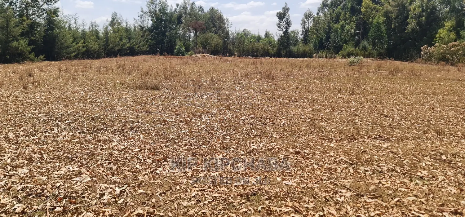 Cheap 1⁄4 Plot for Sale in Annex Royalton in Eldoret in Racecourse