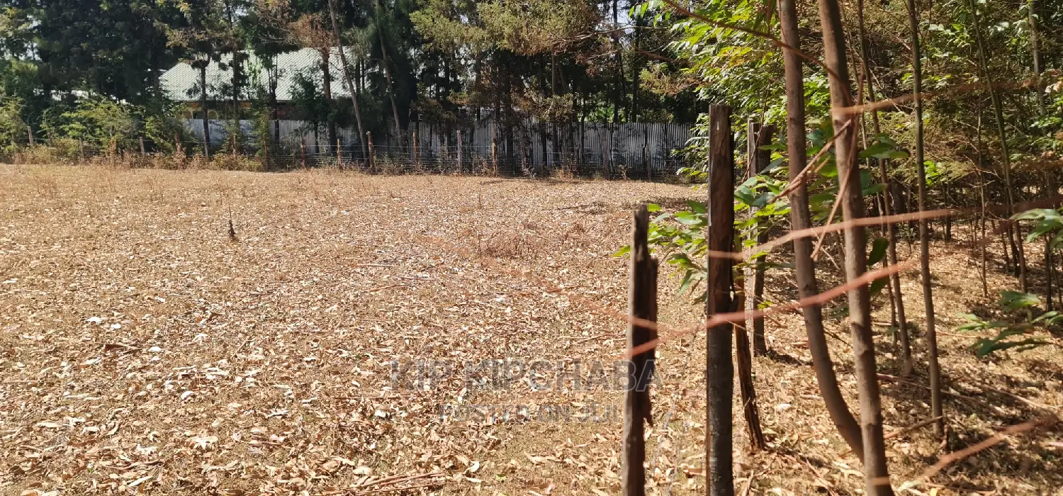 Cheap 1⁄4 Plot for Sale in Annex Royalton in Eldoret in Racecourse