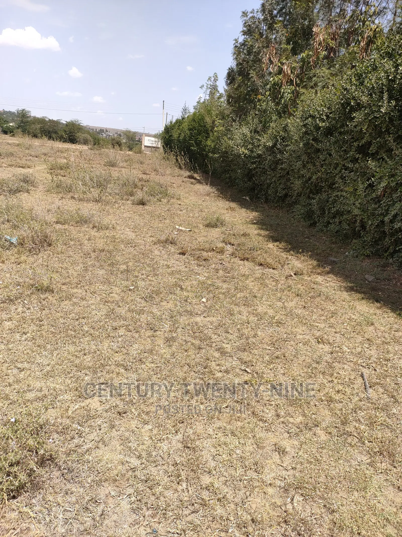 Sharon’S Sabaki Land in Athi River