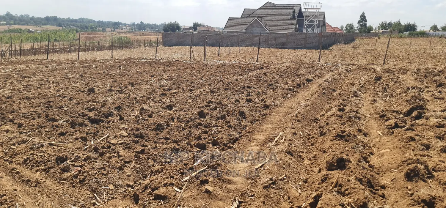 Before Kipkorgot Eldore 1/4 Plot Sale: Seize Your Land Ownership Dream Today in Hillside