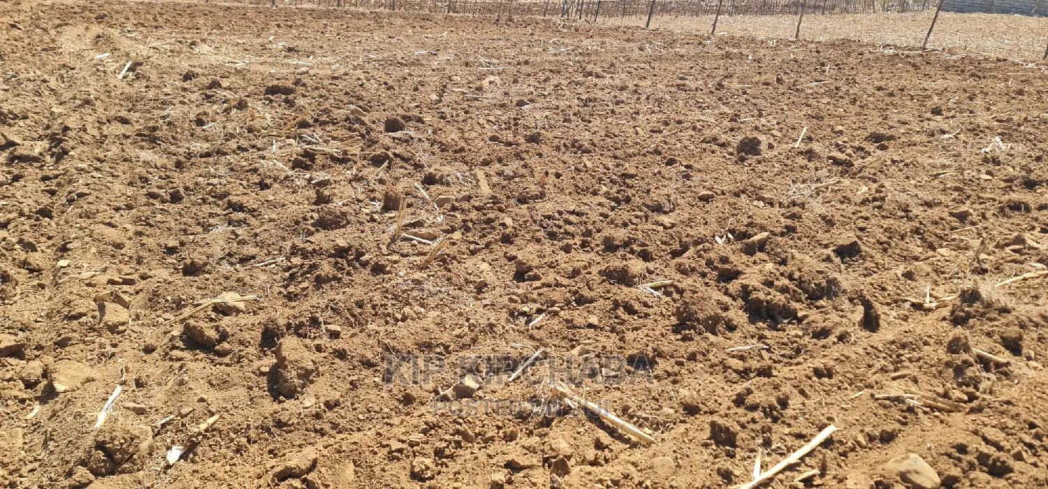 Before Kipkorgot Eldore 1/4 Plot Sale: Seize Your Land Ownership Dream Today in Hillside