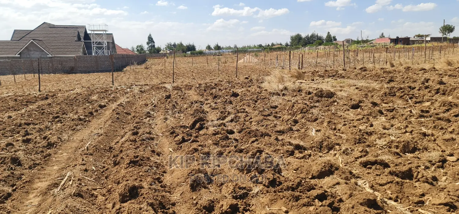 Before Kipkorgot Eldore 1/4 Plot Sale: Seize Your Land Ownership Dream Today in Hillside