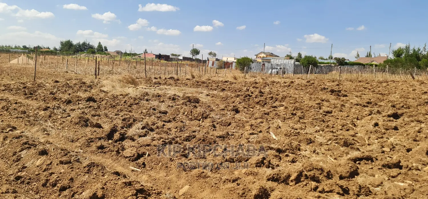 Before Kipkorgot Eldore 1/4 Plot Sale: Seize Your Land Ownership Dream Today in Hillside