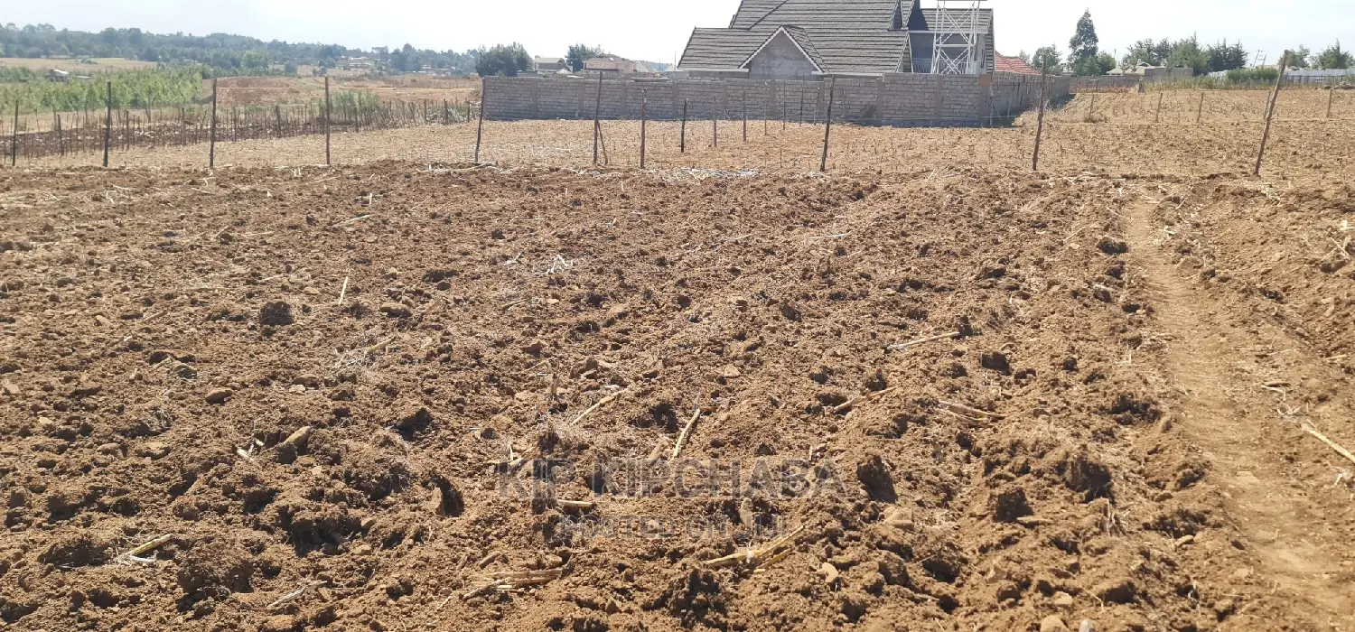 Before Kipkorgot Eldore 1/4 Plot Sale: Seize Your Land Ownership Dream Today in Hillside