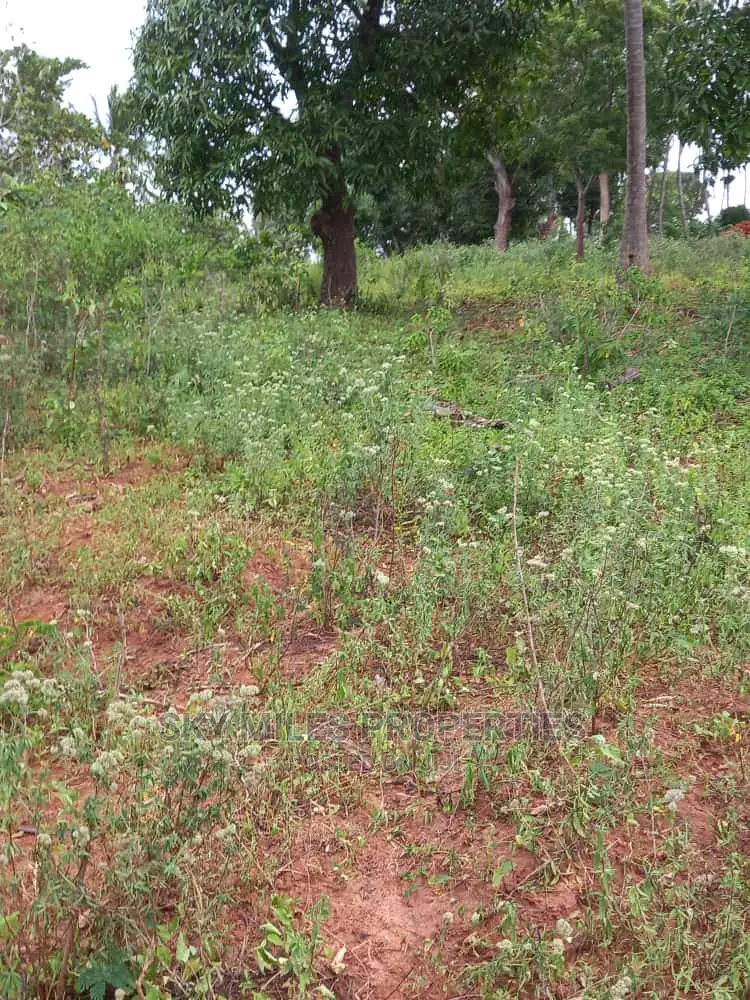 6-Acre Land Opportunity in Bomani, Kikambala - Buy Now in Kikambala