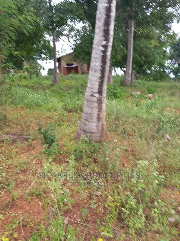 6-Acre Land Opportunity in Bomani, Kikambala - Buy Now in Kikambala